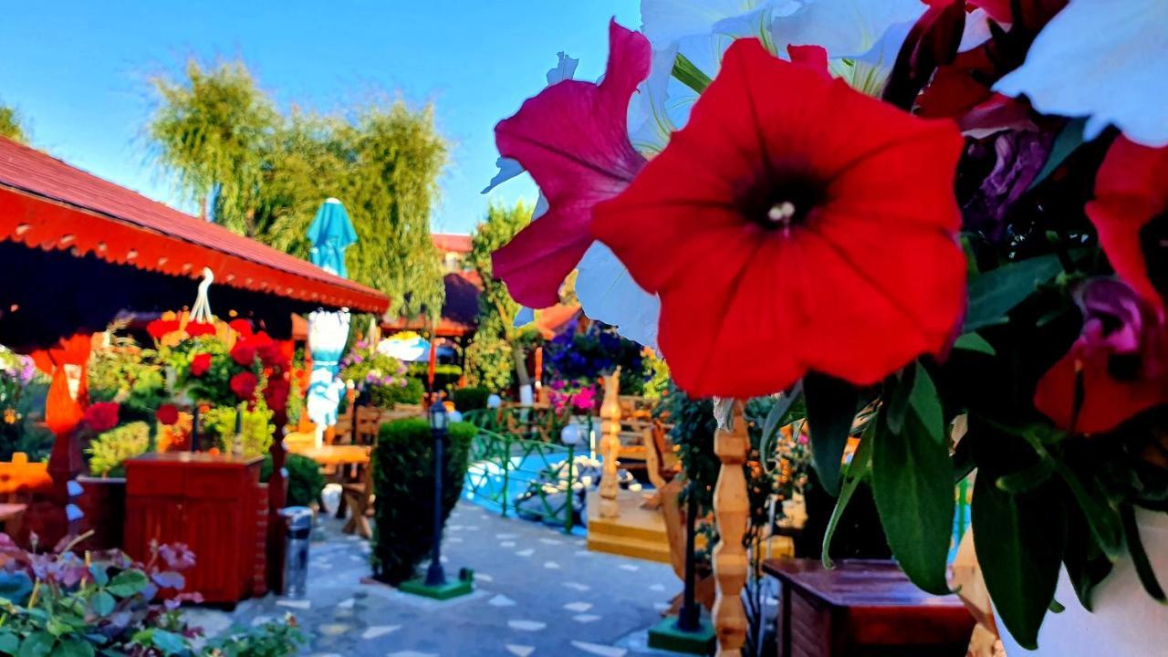 Hotel Poienita 3*